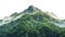 Vegetated Moutain Isolated On Transparent Background. Peaks With Vegetation, Forest And Jungle