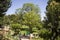 The vegetation of Ain Asserdoun which is a freshwater spring and fountain of the city of Beni Mellal, Morocco