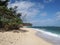 Vegetation along beach with Shallow wavy ocean waters