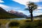 Vegetation on Andes foothills and slopes