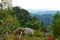 Vegetation and the Blue Mountains of Jamaica