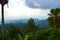 Vegetation and the Blue Mountains of Jamaica