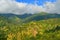 Vegetation and the Blue Mountains of Jamaica