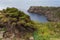 Vegetation and cliff at Cap de Creus. Costa Brava, Spain.
