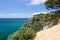 Vegetation on the Cliff Edge, Azure Sea
