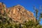 Vegetation in cliffs of the Alicante coast.