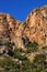 Vegetation in cliffs of the Alicante coast.