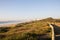 Vegetation Covered Dunes being Rehabilitated at Durban, South Africa