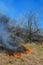 Vegetation fire