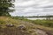 Vegetation on glacial bedrock in Torrance Barrens Ontario