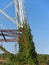 Vegetation growing on metal pillar