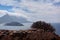 Vegetation, Island, Sea, Balos, Gramvousa, Crete Greece