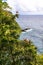 Vegetation on the Maui coast, Hawaii