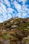 Vegetation on mountain wall summer fall