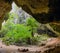 Vegetation and nature in Phraya Nakhon Cave. Thailand