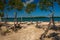 Vegetation and Palapas in the Beautiful caribbean island of Belize