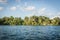 Vegetation with palms, Laguna Bacalar, Chetumal, Quintana Roo, M