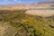 Vegetation in the Peruvian Highlands