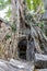 Vegetation recaptures the ruins of Ta Prohm temple, Siem Reap, Cambodia, Asia