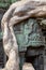 Vegetation recaptures the ruins of Ta Prohm temple, Siem Reap, Cambodia, Asia