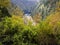 Vegetation on the rocks