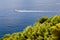 Vegetation, sea and boat on Capri coast