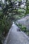 Vegetation tunnel in a park