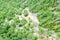 vegetation in Verdon Gorge, Provence, France