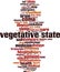 Vegetative state word cloud