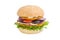 Veggie burger with vegetables patties on a light background