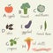 Veggie fruit alphabet