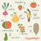 Veggie fruit alphabet