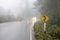 Vehicle driving on curved road in heavy fog