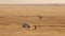 Vehicle passing in the Desert