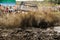 A vehicle`s racing in mud during an off-road racing competition.