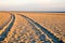 Vehicle Tracks on the Beach