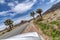 Vehicles on road along Joshua Tree California with Joshua trees and mountain