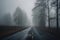 Veiled Terror: Navigating the Haunting Abyss of an Eerie, Fog-Drenched Road