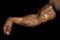 Veins and tendons in the arm. Arm with muscles, biceps, triceps and veins on black background. Muscular bodybuilder