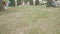 Veiw of dry grass in park. Legs of people sitting and walking in park.