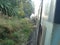 A veiw from running long distance railway train