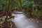 Vela Draga river in canyon / Croatia