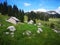 Velebit National Park / Shelters / Hiking Croatia