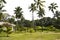 Veli tourism village resort in Kerala, India - 3