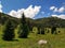 Veliki Lubenovac meadow in the Northern Velebit National Park