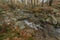 Velky Cerny Stolpich creek in autumn fresh morning in Jizerske mountains