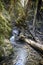 Velky Sokol gorge, Slovak Paradise national park