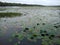 vellayani freshwater lake, Thiruvananthapuram Kerala, landscape view