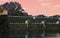 Vellore fort ornamental stone wall reflection in big trench