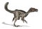 Velociraptor Dinosaur